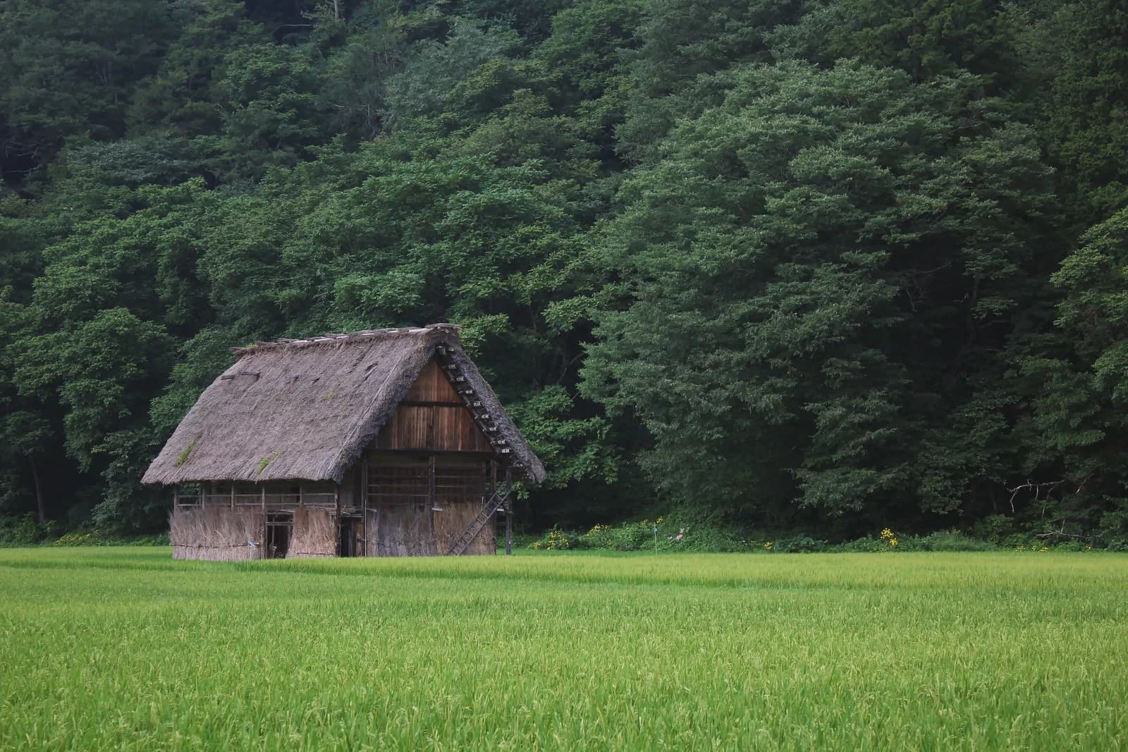 昭和の木造民家。相続した実家のイメージ